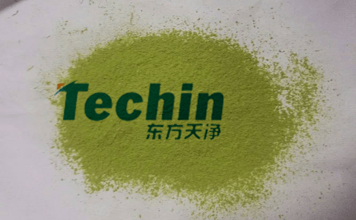 91视频电影网後的植物葉片