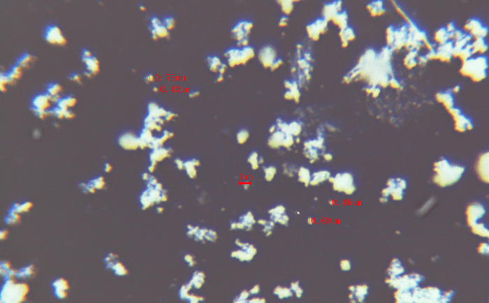铌酸鋰91视频电影网後電鏡圖