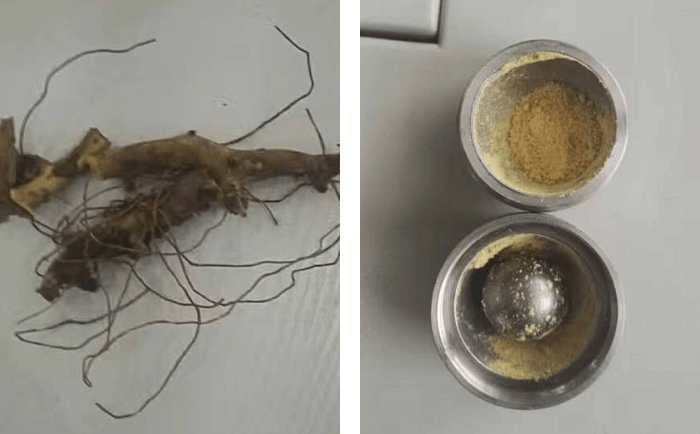 穿山龍91视频电影网前後