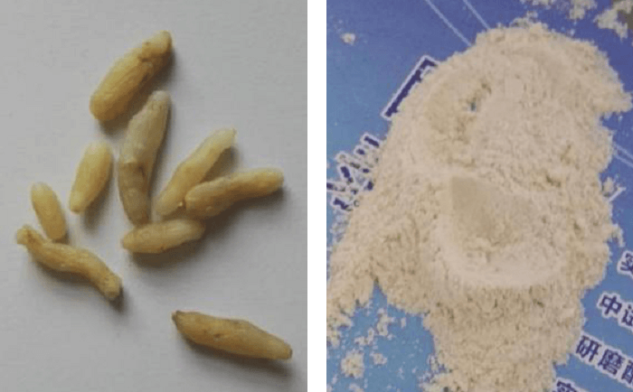 麥冬91视频电影网前後